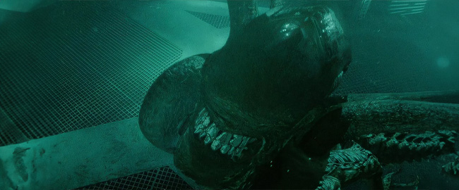 Fede Álvarez trabaja en la secuela de “Alien: Romulus” prometiendo explorar nuevos terrenos