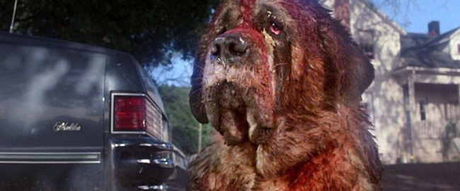 Netflix revive “Cujo”: Nuevo proyecto en desarrollo basado en la novela de Stephen King