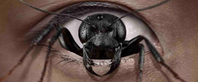 “Control Freak” llega hoy a Disney+: terror y parasitación en una lucha desesperada