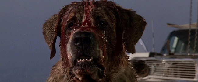 Darren Aronofsky en conversaciones para dirigir el remake de “Cujo”