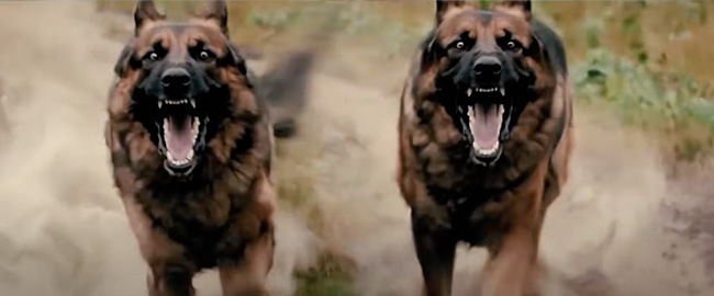 Tráiler de “A Breed Apart”, el remake de “Aullidos” (2006)