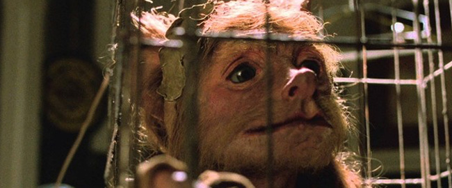 “The Goblin”: A24 financiará una comedia irreverente con marioneta al estilo “Ted”