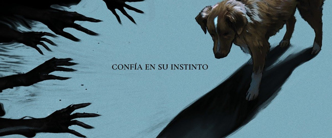 “Good Boy”, el fenómeno viral de terror contado desde los ojos de un perro, llega a los cines españoles