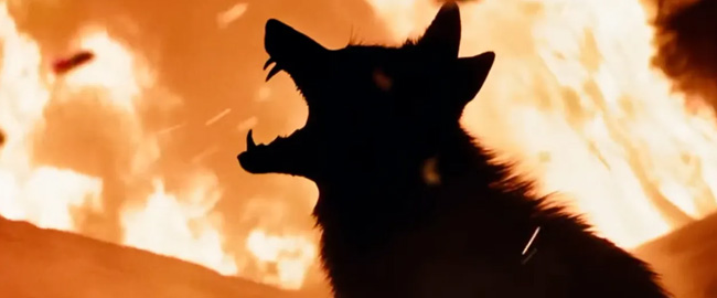 Trailer de “Coyotes”: Justin Long y Kate Bosworth sobreviven a un ataque animal 