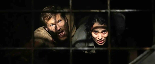 Primer trailer de “Scurry”: arañas mutantes y terror en tiempo real