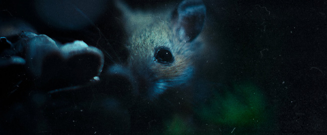 La docuserie “Naturaleza de Pesadilla” ya disponible en Netflix: no te pierdas su trailer doblado en español