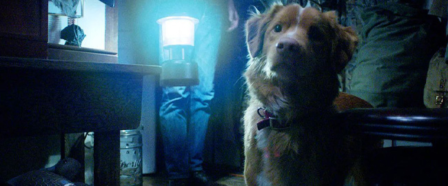 “Good Boy” se proyectará en el Fanter Film Festival