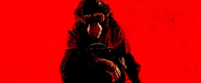 “Primate”: primer teaser con la llamada al 911 y un simio fuera de control