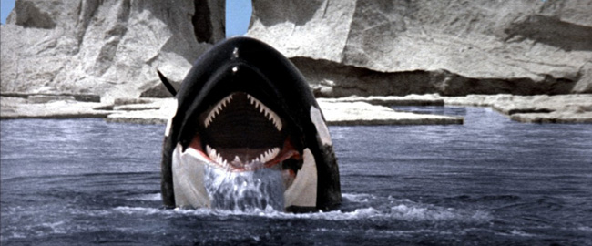 “Killer Whale”: el nuevo survival acuático recibe calificación R por violencia y gore