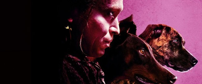 final de Dogman