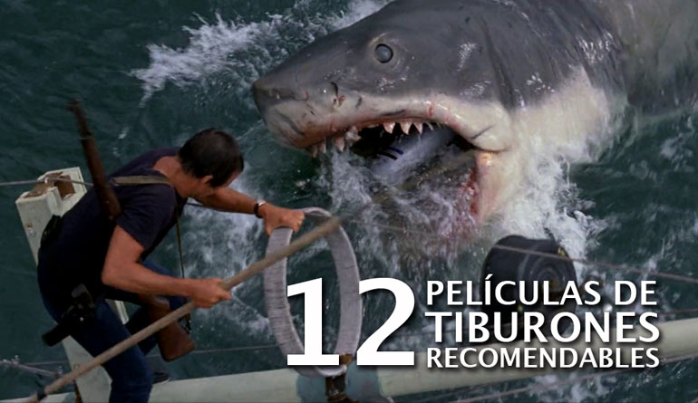 tiburones recomendables