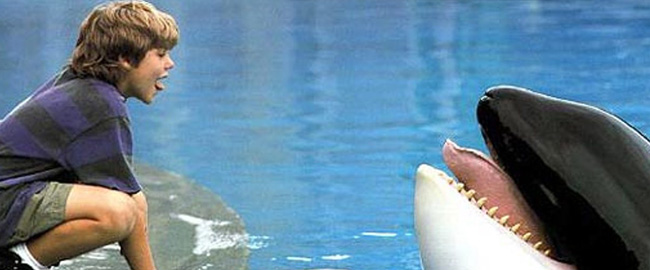 Final de ¡Liberad a Willy! explicado