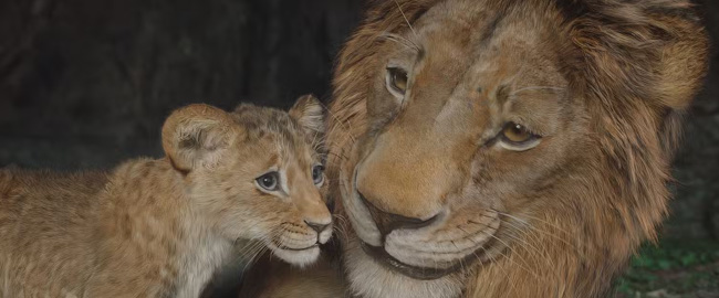 Final de Mufasa: El Rey León explicado