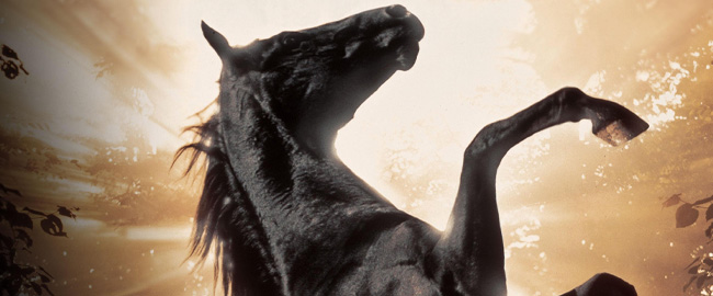 Final de Belleza Negra / Caballo Negro explicado