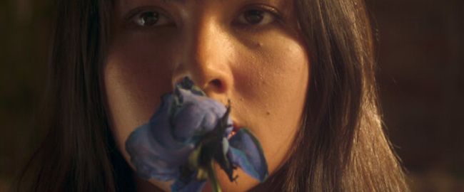 ¿Merece la pena ver Dalah: Flores y Muerte en Netflix?