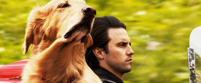 Explicación del final de El Arte de Vivir bajo la Lluvia