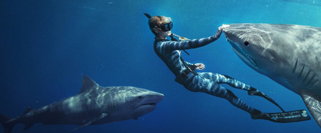 ¿Quién es Ocean Ramsey, la mujer encantadora de tiburones del nuevo documental de Netflix?