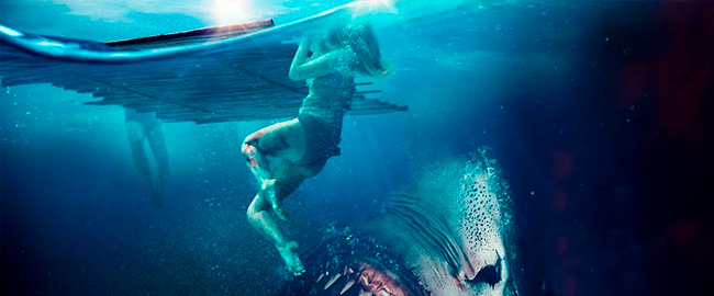 Explicación del final de Sharkwater