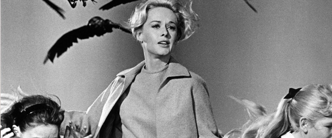 The Birds