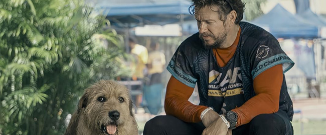 Arthur película 2024