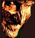 este es mi lado bueno