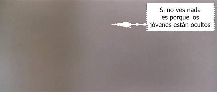 jovenes ocultos