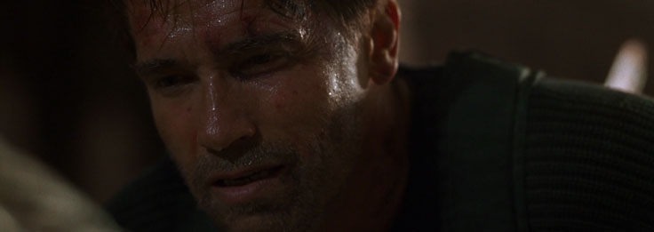 ARNOLD SCHWARZENEGGER