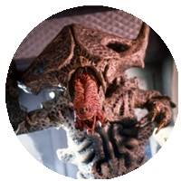 waxwork